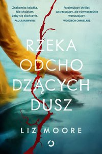 Rzeka odchodzących dusz - Liz Moore - ebook