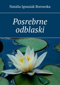 Posrebrne odblaski - Natalia Ignasiak Borowska - ebook
