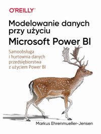 Modelowanie danych przy użyciu Microsoft Power BI - Markus Ehrenmueller-Jensen - ebook
