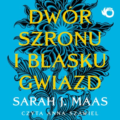 Dwór szronu i blasku gwiazd. Tom 3,5